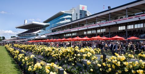 Flemington Racecourse. See more race courses at http://www.racingfuture.com/content/horse-racing-venues-clubs-around-world Flemington Racecourse, Racing Club, Horse Race, Melbourne Cup, Cup A, The Race, The Culture, Melbourne Australia, Horse Racing