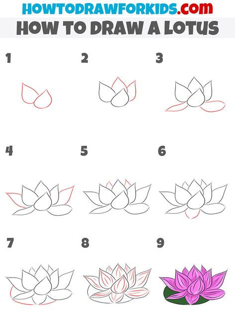 how to draw a lotus step by step Lotus Flower In Water Drawing, How To Draw Lotus Step By Step, How To Draw Lotus Flower Step By Step, How To Draw Lotus, How To Draw A Lotus Flower, How To Draw Lotus Flower, Lotus Drawing Simple, Flower Tutorial Drawing, Lotus Doodle