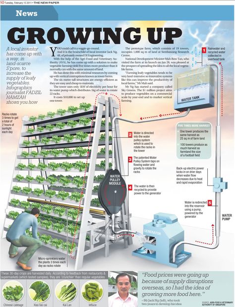 Sky Greens Vertical Farm in Singapore; commercial hydroponic farms utilize control systems like Link4's iPonic system, to manage and control all equipment. Vertical Farm, Vertical Farming, Aquaponics System, Have Inspiration, Growing Fruit, Hydroponic Gardening, Urban Farming, Healthy Plants, Permaculture