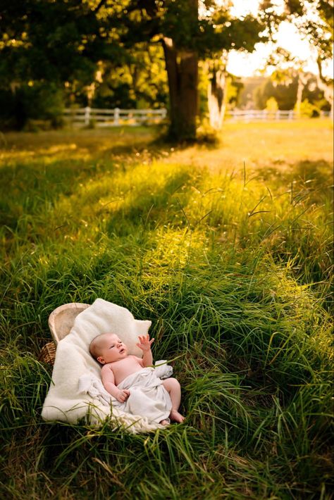 3 Month Newborn Pictures, Newborn Spring Pictures, Newborn Pics Outside, Field Newborn Photoshoot, Newborn Nature Photography, Newborn Photo Outdoor, Newborn Garden Photoshoot, Newborn Family Photos Outdoor Fall, Newborn Outdoor Photoshoot Summer