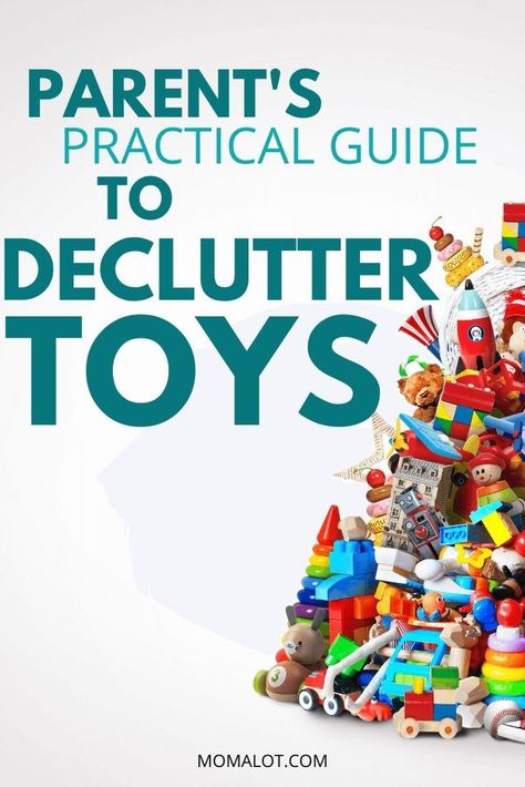 Declutter Toys, Toy Clutter, Kid's Playroom, Decluttering Tips, Tips For Parents, How To Declutter, Real Mom, Real Moms, Science Kits