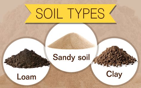 Soil Activities, Soil Type, Garden Tool Organization, Physical And Chemical Properties, Beef Tips, Soil Testing, Soil Layers, Plant Science, Sandy Soil