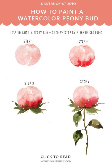 Peony Bud, Watercolor Peony, Watercolor Beginner, Watercolor Flowers Tutorial, Learn Watercolor, Watercolor Tips, Paint Watercolor, Watercolor Paintings For Beginners, Watercolor Peonies