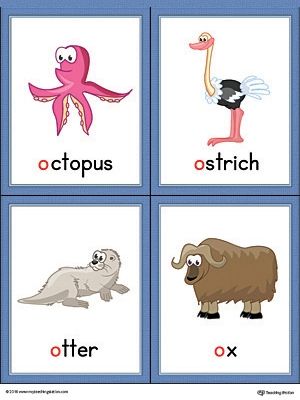 Letter O Words and Pictures Printable Cards: Octopus, Ostrich, Otter, Ox (Color) | MyTeachingStation.com Letter D Words And Pictures, Letter D Flashcards, Letter D Words, D Words, Alphabet Word Wall Cards, Alphabet Word Wall, Color Worksheet, Vocabulary Flash Cards, Word Cat