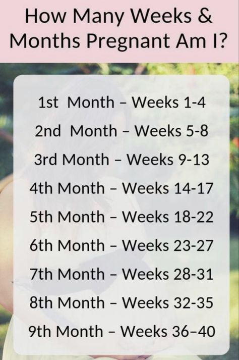 Weeks To Months Pregnant, 7th Month, Pregnancy Info, Baby Kicking, Pregnancy Information, Pumping Moms, Pregnancy Months, Baby Sleep Problems, Weeks Pregnant