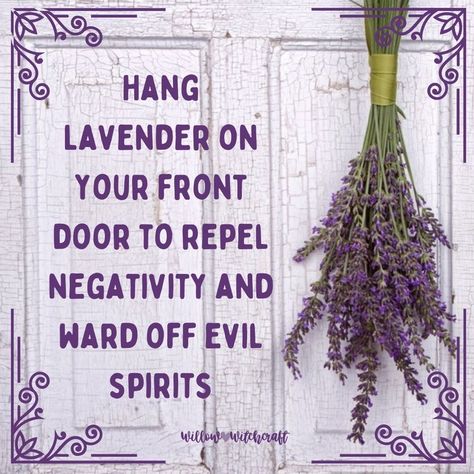 Perfect Spring decor for the fromt door. 😉 Hang Plants, Ward Off Evil Spirits, Money And Abundance, Witch Herbs, Wiccan Magic, Witch Spirituality, Magic Spell Book, Magic Herbs, Wiccan Spell Book