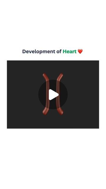 worldofmedics on Instagram: "From a Mere Flutter to a Steady Beat❤️

In the cozy cradle of the pericardium, between days 23 and 28, our heart’s earliest form takes shape, delicately twisting into an S-shape. This magical transformation marks the beginning of a journey, where, between five and six weeks of gestation, the tiny heart starts its first beats - a gentle rhythm that heralds the miracle of life and the incredible journey of human development.

Video by 🎥:
https://youtu.be/a0qyagIgBPw?si=KZ7mFfiDnlMQPZQf

#bio #biotech #heart #beat #heartbeat #biology #biotechnologyguy
#cardiology #developmentbiology #embryology #embryogenesis #evolutionoflife" Magical Transformation, The Incredible Journey, Human Development, Cardiology, Heart Beat, Biotechnology, Tiny Heart, In A Heartbeat, Biology