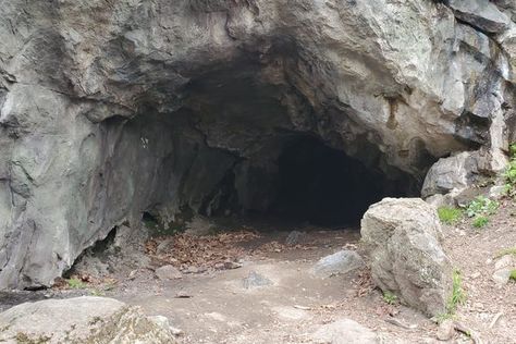 A small cave hidden deep within the Jenny Jump State Forest. Cave Opening, Forest Cave, Morgan Core, Cave Drawing, Supernatural Theme, Hidden Forest, Cave Drawings, Forbidden Forest, Cave In