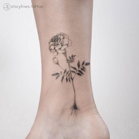 Marigold. Desert Marigold Tattoo, Black And White Marigold Tattoo, Marigold Fine Line Tattoo, Mary Gold Flower Tattoo, Marigold Tattoo Black And White, Marigold Sketch, Marigold Tattoo Design, Marigold Flower Tattoo, Arm Wrap Tattoo