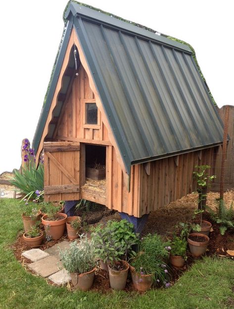 Chicken House Plans, Run Photo, Cute Chicken Coops, Chicken Coup, Backyard Chicken Coop Plans, Diy Chicken Coop Plans, Coop Design, Chicken Run, Chicken Coop Designs