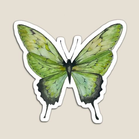 Get my art printed on awesome products. Support me at Redbubble #RBandME: https://www.redbubble.com/i/magnet/Monarch-Green-Sage-Butterfly-Watercolor-Sticker-Aesthetic-by-barbz2020/95792524.TBCTK?asc=u Laptop Stickers Collage, Sage Butterfly, Monarch Butterfly Watercolor, Cover Binder, Green Scrapbook, Aesthetic Butterfly, Sticker Aesthetic, Fairy Stickers, Images Kawaii