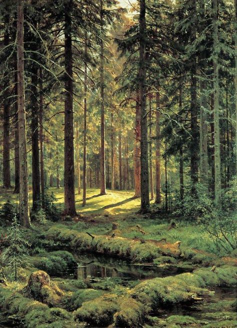 Ivan Shishkin • Coniferous Forest. Sunny Day, 1895 Ivan Shishkin, Sunny Forest, Coniferous Forest, Forest Painting, Seasons Of Life, Forest Fairy, Sunny Day, Pretty Pictures, Geography