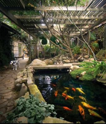 Beautiful koi pond! | http://www.greenturf.com/ Indoor Pond, Koi Pond Design, Kolam Koi, Desain Lanskap, Piscina Natural, Backyard Pergola, Aquaponics System, Pond Design, Have Inspiration