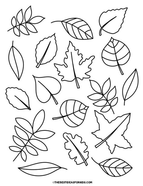 Leaf Variety Coloring Page Leaf Shapes Template Free Printable, Leaf Matching Free Printable, Free Leaf Template Printable, Printable Leaf Patterns, Leaf Template Printable Free, Simple Leaf Drawing, L Is For Leaf, Fall Leaves Drawing, Leaf Printables