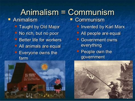 GOVERNMENT OWNS THE FARM images pics | Animal farm Animal Farm Summary, Animal Farm Orwell, Animal Farm Book, Science Inspiration, Animal Farm George Orwell, Literature Notes, All Animals Are Equal, Farm Lessons, Farm Images