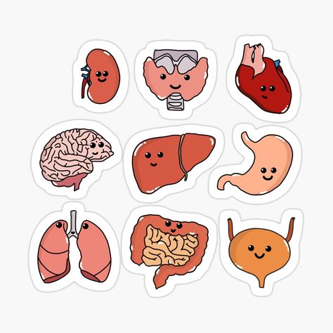 Cute Medical Stickers, Medical Stickers Aesthetic, Medicine Stickers, Stickers Science, Pola Jaring, Anatomy Stickers, Medicine Art, Sistem Pencernaan, Medical Stickers