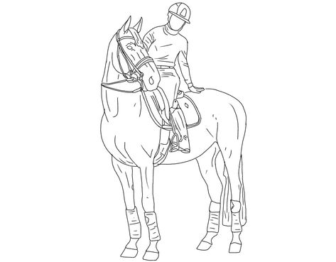 Horse With Rider Drawing, Horse And Rider Drawing, Horses Drawings, Horse Lineart, Horse Drawing Tutorial, Horse Outline, Horse Art Drawing, Rasy Koni, Horse Sketch