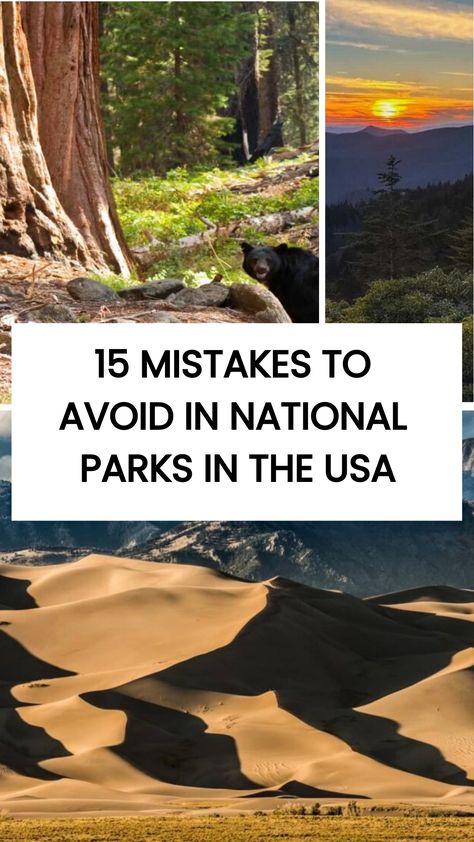 Check these 15 Mistakes to Avoid in National Parks in the USA. Visiting national parks in the USA offers a chance to enjoy nature and adventure. However, to make the most of your trip, there are things oyu shouldn't do! Grand Canyon Travel Guide, Us National Parks List, Trip To Grand Canyon, Romantic Road, Holiday Stories, Canada Travel Guide, National Park Road Trip, National Parks Usa, Sequoia National Park