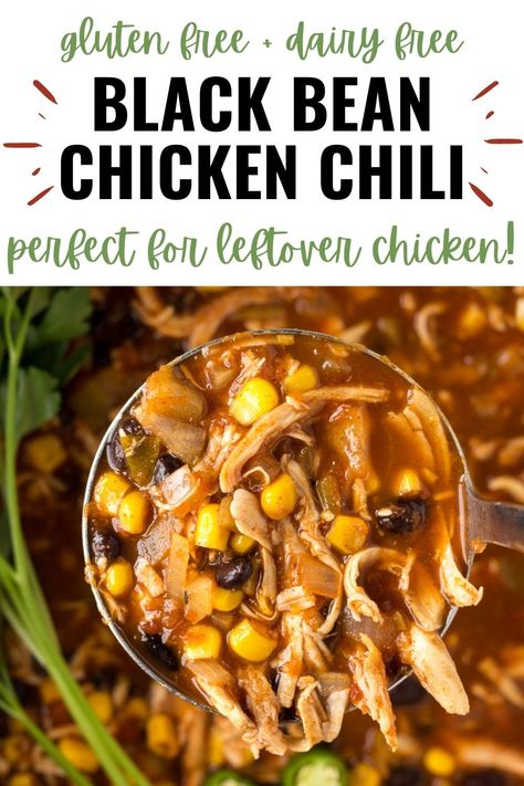 Black Bean Chicken Chili Crockpot, Chicken And Black Bean Crockpot Recipes, Black Bean Soup With Chicken, Navy Bean Chicken Chili, Gluten Free Chicken Chili Crockpot, Black Bean And Chicken Soup, Chicken And Black Bean Chili, Gluten Free Black Bean Recipes, Gluten Free Chicken Appetizers