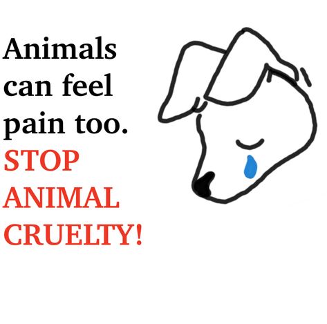 Animal Cruelty Posters, Calligraphy For Kids, Animal Cruelty Awareness, Animals Rights, Animal Awareness, Save Planet, Sea Glass Art Diy, Awareness Poster, Animal Liberation