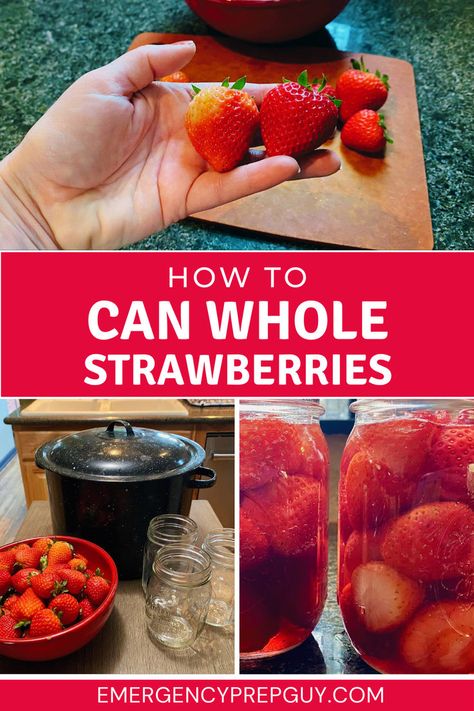 A person holding fresh strawberries with a bowl of more berries, jars for canning, and a pot for processing, showcasing the process of canning whole strawberries. Preserving Strawberries, Can Strawberries, Canning Strawberries, Grapefruit Marmalade, Strawberry Gluten Free, Canned Strawberries, Canning 101, Canning Fruit, Strawberry Preserves