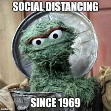 oscar the grouch Memes & GIFs - Imgflip Oscar The Grouch Quotes, Muppets Funny, Rage Art, Sesame Street Muppets, Oscar Night, Fraggle Rock, Oscar The Grouch, Marvel Characters Art, June 1st