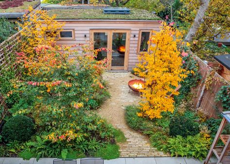 Home Garden Ideas, Naturalistic Garden, Urban Gardens, London Garden, Specimen Trees, Inspire Me Home Decor, Cold Frame, Woodland Garden, Garden Studio