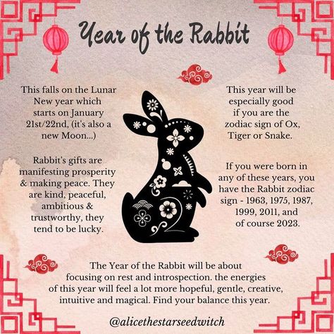 Lunar New Year Tattoo, Lunar Rabbit, Witch Astrology, Year Of Rabbit, Chinese New Year Zodiac, Rabbit Year, The Year Of The Rabbit, Chinese Lunar New Year, Chinese Calendar