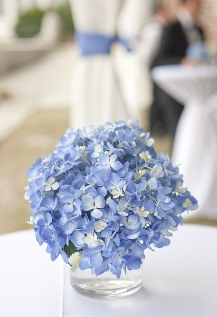 Blue Hydrangea Table Arrangements, Blue Hydrangea Party Theme, Hortensia Wedding, Hydrangea Centerpiece Diy, Blue Hydrangea Centerpieces, Hydrangea Centerpiece Wedding, Hydrangea Centerpieces, Hydrangea Cottage, Blue Hydrangea Wedding