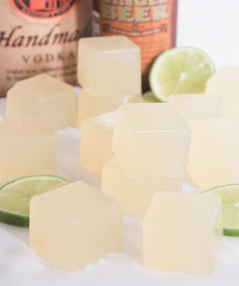 Moscow Mule Jello Shots : domesticateme Tequila Jello Shots, Glace Fruit, Jello Pudding Shots, Mule Cocktail, Mule Recipe, Pudding Shots, Jello Shot Recipes, Jello Shot, Lemon Drop Martini