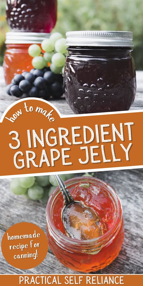 How to Make 3 Ingredient Grape Jelly - If you're looking for grape jelly recipes for canning, you'll love this homemade grape jelly. Learn how to make homemade grape jelly from fresh grapes or grape juice, pectin, and sugar. Incudes easy, step by step instructions for canning! Grape Juice Jelly Canning Recipe, How To Make Homemade Grape Jelly, Recipe For Grape Jelly, Grape Jelly For Canning, Easy Homemade Grape Jelly, Grape Jelly Homemade, Fresh Grape Jelly Recipe, Healthy Grape Jelly, Canning Grape Jelly From Juice