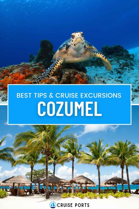 Cozumel Cruise Port: Top Attractions, Tips, and More Cozumel Mexico Cruise Port, Norweigen Cruise, Belize Cruise Port, Cozumel Cruise Port, Cozumel Mexico Cruise, Cozumel Cruise, Mexico Cruise, Island Adventure, Cruise Excursions