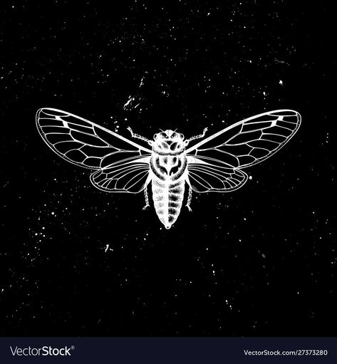 Cicada Art Illustration, Cicada Vector, Cicada Drawing, Cicada Illustration, Insects Drawing, Cicada 3301, Cicada Art, Notion Icons, Wings Sketch