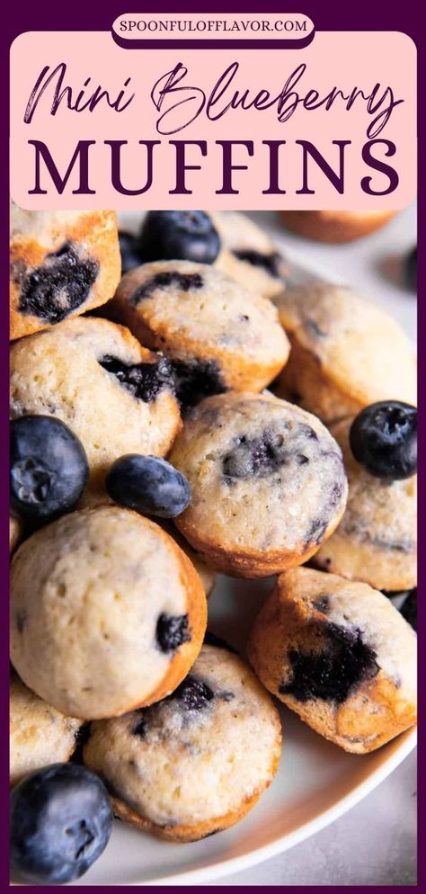 Mini Blueberry Muffins are the perfect breakfast or snack for both kids and adults. Prep this recipe in only 10 minutes before baking in the oven. You can also make these gluten free or dairy free with a few adjustments! Blackberry Muffins Easy, Pumpkin Blueberry Muffins, Mini Blueberry Muffins, Blueberry Muffin Recipe Easy, Bakery Style Blueberry Muffins, Mini Chocolate Chip Muffins, Gluten Free Blueberry Muffins, Homemade Blueberry Muffins, Fresh Snacks