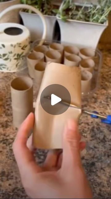 Boxly Company on Instagram: "“Love grows where our Rosemary goes... and so do our seeds! 🌱♻️ Join us in reducing waste and nurturing new life with these compostable toilet paper tube seed starters. Every small step towards sustainability counts! 💚 #GrowWithLove #ReduceReuseRegrow #SustainableLiving #boxlyinbloom #boxlyco" Seed Starters, London Dreams, Toilet Paper Tube, Cat Hacks, Reducing Waste, Small Step, Reduce Reuse, Reduce Waste, Sustainable Living