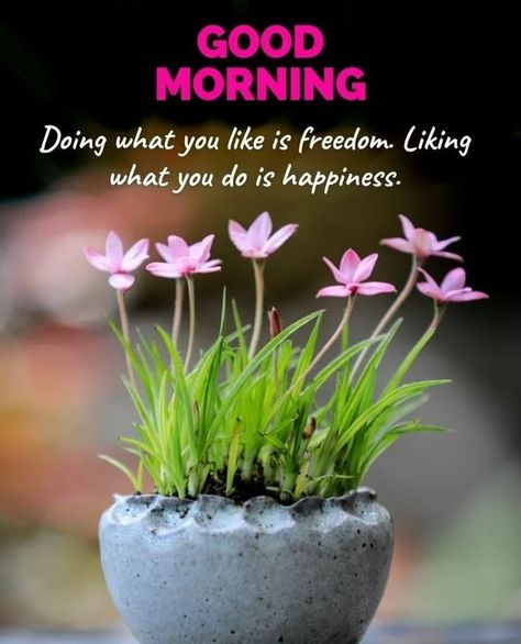 Birthday Msgs, Very Good Morning Images, Morning Thought, Gd Mrng, Morning Massage, Good Morning Image, Good Morning Massage, Good Morning Msg, Good Morning Greeting Cards