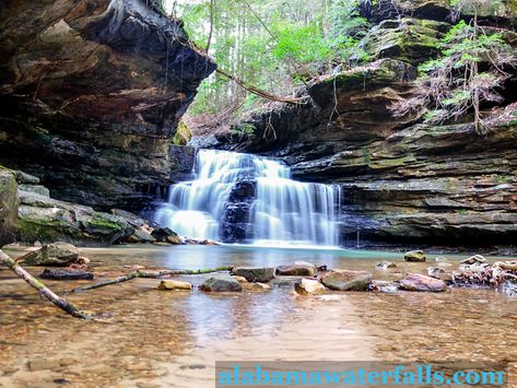 Places You Can Camp Next to a Waterfall in Alabama - Alabama Waterfalls Camping In Alabama, Alabama Waterfalls, Alabama Gulf Shores, Summer Places, Prattville Alabama, South Usa, Alabama Hills, Waterfall Sounds, Alabama Vacation