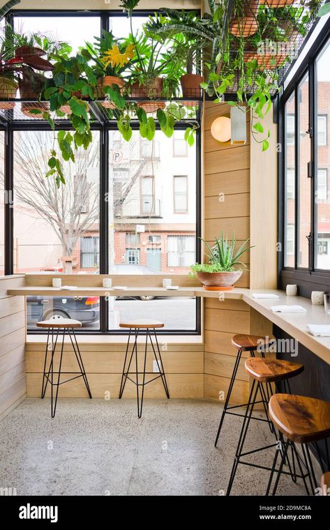 Llama Inn restaurant window seating, Brooklyn, New York Stock Photo - Alamy Restaurant Window, Window Seating, Deli Cafe, Bar Bench, Cafe Window, Window Bars, At Restaurant, Window Benches, Dog Store