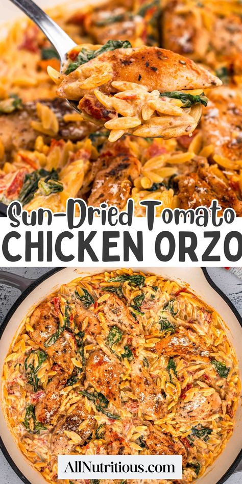 Creamy Sun-Dried Tomato Chicken Orzo Chicken Orzo With Sundried Tomato, Chicken Orzo Skillet With Sun-dried Tomatoes, Creamy Sun Dried Tomato Chicken Orzo, Chicken Orzo One Skillet, Orzo Recipes With Sundried Tomatoes, Chicken Spinach Tomato Orzo, Tucson Chicken Orzo, Healthy Orzo Meals, One Pan Protein Meals