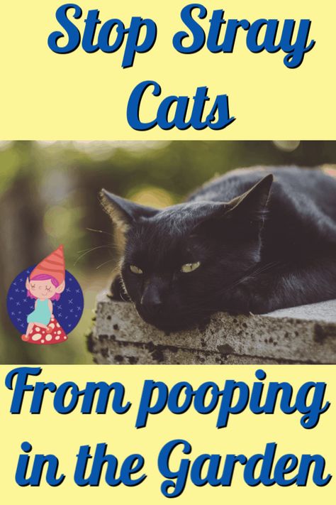 Stop Cats From Pooping In Yard, How To Stop Cats From Pooping In Garden, Keeping Cats Out Of Yard, How To Keep Cats From Peeing On Stuff, Keeping Cats Out Of Garden, How To Keep Cats Out Of Flower Beds, How To Get Rid Of Cats In My Yard, How To Keep Cats Out Of Garden, Keep Cats Out Of Garden