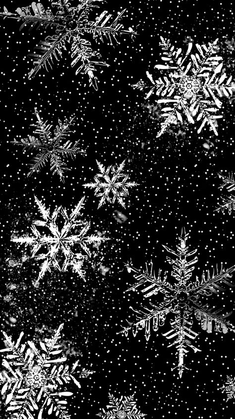 Alternative Christmas Wallpaper, Goth Christmas Background, Christmas Goth Wallpaper, Dark Yule Aesthetic Wallpaper, Goth Winter Wallpaper, Yule Background, Gothic Christmas Wallpaper, Black And White Christmas Wallpaper, Black Winter Wallpaper