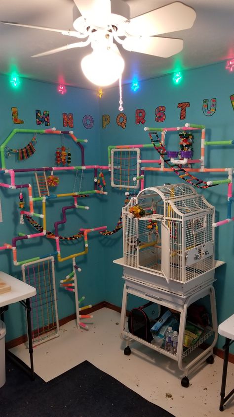 Bird Play Gym, Homemade Bird Toys, Parrot Play Stand, Diy Parrot Toys, Cockatiel Cage, Diy Bird Cage, Sugar Glider Toys, Diy Bird Toys, Conure Parrots