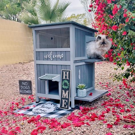 Heated outdoor cat house