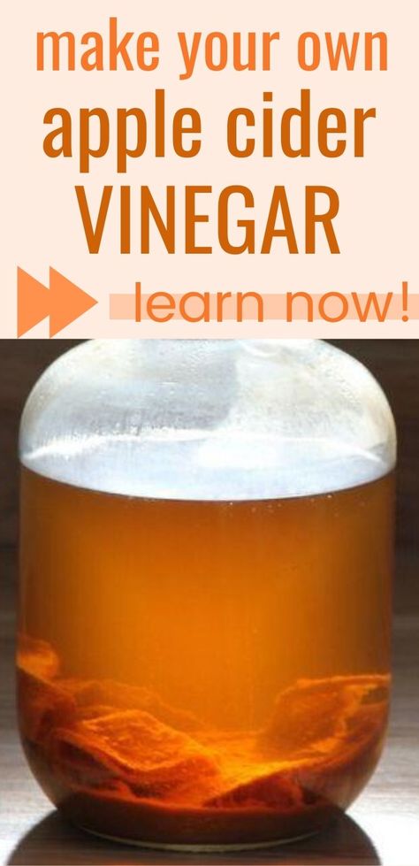 Learn to Make Apple Cider Vinegar (from scratch) • a traditional life Apple Cider Vinegar Diy, Homemade Apple Cider Vinegar, How To Make Vinegar, Make Apple Cider, Making Apple Cider, Apple Cider Vinegar Recipes, Make Apple Cider Vinegar, Homemade Apple Cider, Apple Cider Vinegar Drink