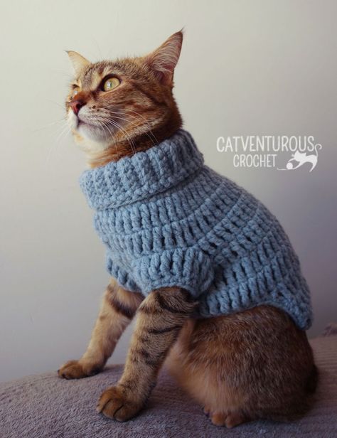 Cat Sweater Pattern, Gato Crochet, Crochet Dog Hat, Kitten Sweater, Dog Sweater Crochet Pattern, Crochet Cat Hat, Crochet Dog Sweater, Crochet Sweater Pattern Free, Cat Sweater