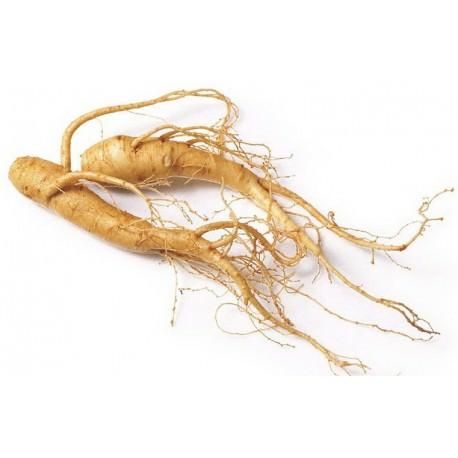 One of the most widely used and acclaimed herbs in the world, Korean ginseng is magic with its wonders. This all-natural antioxidant has had a long and illustrious history as an herb for health, and has been used for centuries. Korean Ginseng, Red Ginseng, Cash Crop, Herbs For Health, Garden Fountain, Greenhouse Gardening, Traditional Medicine, Herbal Supplements, Medical Prescription