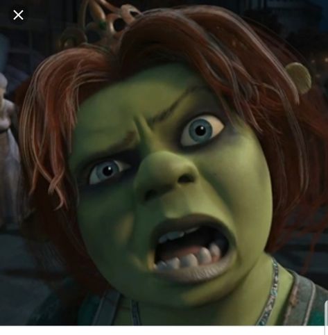 Shrek Aesthetic Cute, Fiona From Shrek, Rave Memes, Shrek Rave, Shrek Aesthetic, Horror Atmosphere, Best Jokes Ever, Funny Animations, Clean Funny Pictures