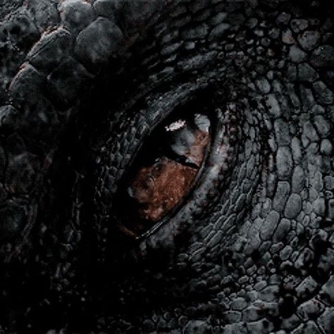 Jurassic Park 3 Spinosaurus, Regard Animal, Targaryen Aesthetic, Dragon Rider, Dragon Eye, Jurassic Park World, House Of Dragons, Fantasy Aesthetic, Throne Of Glass