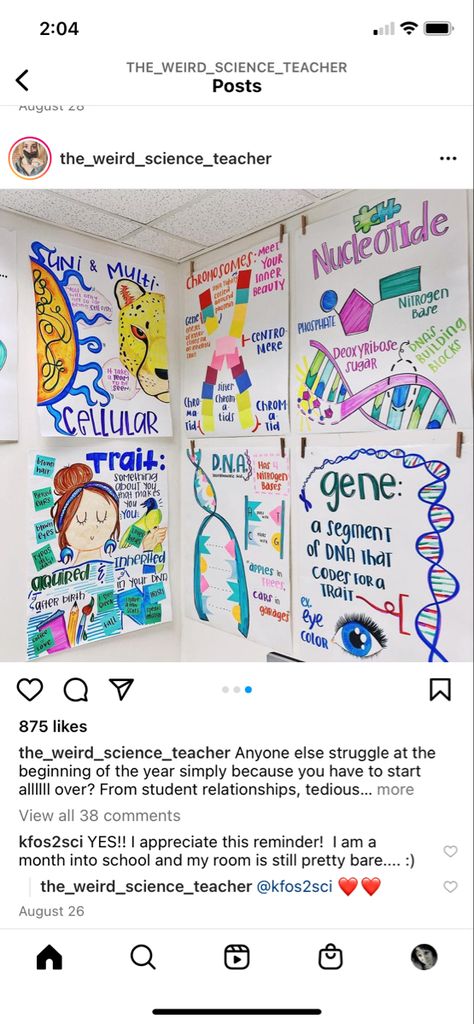 Life Science Anchor Charts, Genetics Anchor Chart, The Weird Science Teacher, Biology Anchor Charts, High School Biology Classroom, Classroom Management Songs, High School Science Classroom, Biology Ideas, Biology Activity