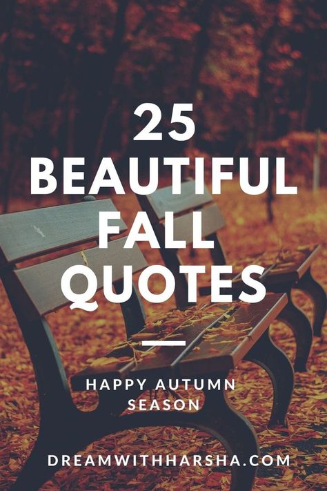 Fall Begins Quotes, Autumn Is Coming Quotes, Ready For Autumn Quotes, Autumn Mood Cozy Quotes, Every Season Quotes, Rainy Fall Day Quotes, Fall Life Quotes, Autumn Life Quotes, Fall Is My Favorite Season